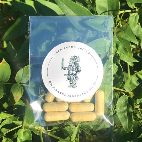 Shop San Pedro online .